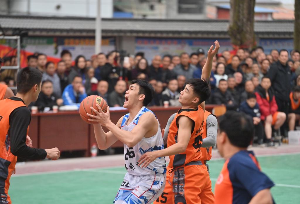 除在奖项评